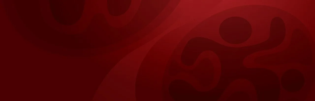 UEFA Euro 2008