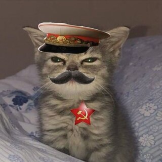 Верблюд