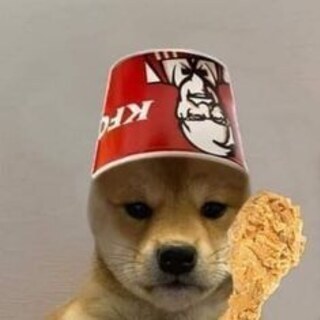 Койот
