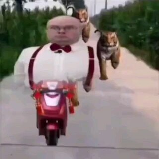 Долото