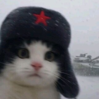 Камыш