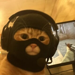 Дощаник