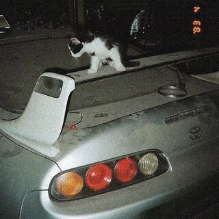 Конёк